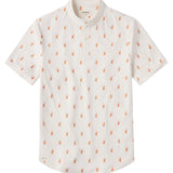 CATALYST POLO | MANTRA COLLAR | GOLDEN LION TAMARIN